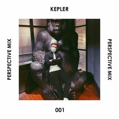 PERSPECTIVE MIX 001 - KEPLER