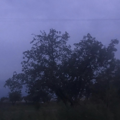 Eternal - Sidewalks and Skeletons