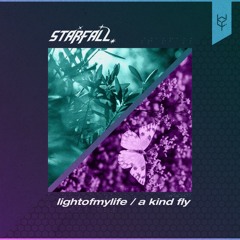 lightofmylife / a kind fly
