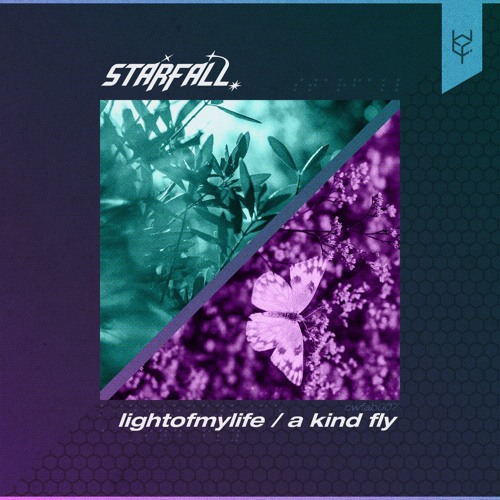 lightofmylife / a kind fly
