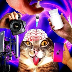 OkSlattOKProdWhyconor.m4a