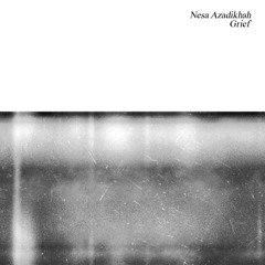 Nesa Azadikhah - Grief