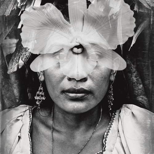 Cristina Bucardo - Todo Se Puede Curar (Podcast)