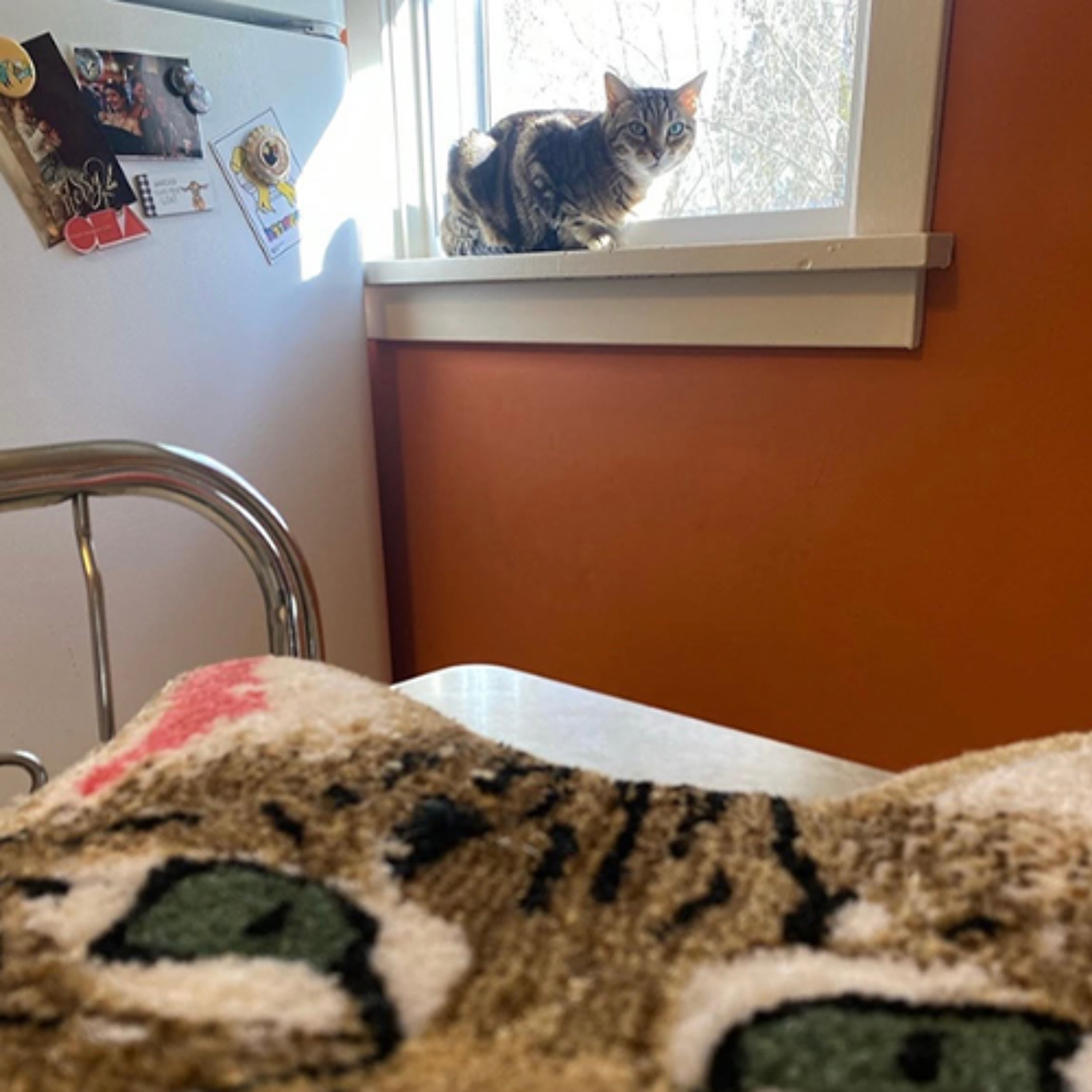 UW Madison's Wheelhouse: A Fine Place to Start