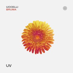 Uccelli - Bruma [UV]