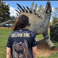 SULLIVAN KING @ LOST LANDS 24
