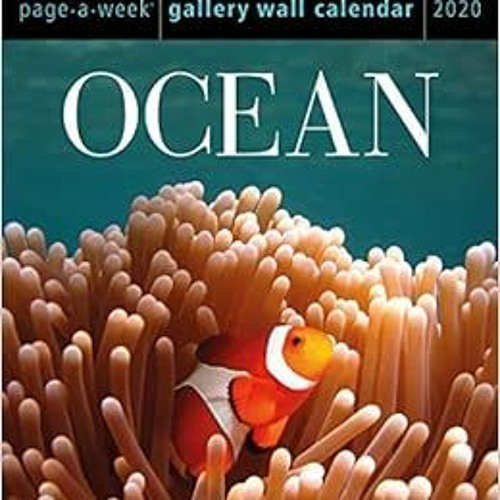 VIEW EPUB KINDLE PDF EBOOK Ocean Page-A-Week Gallery Wall Calendar 2020 by Workman Ca