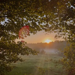 Morning/Mourning¿ (Mantra V)
