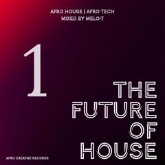 The Future Of House Vol. 1 - Afro House / Afro Tech mixed by MELO-T
