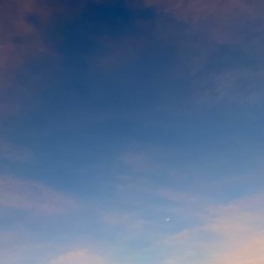 Venom Thief (2022-2023) for fixed media - binaural mix