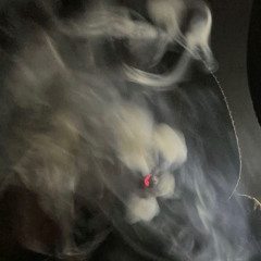 Chronic