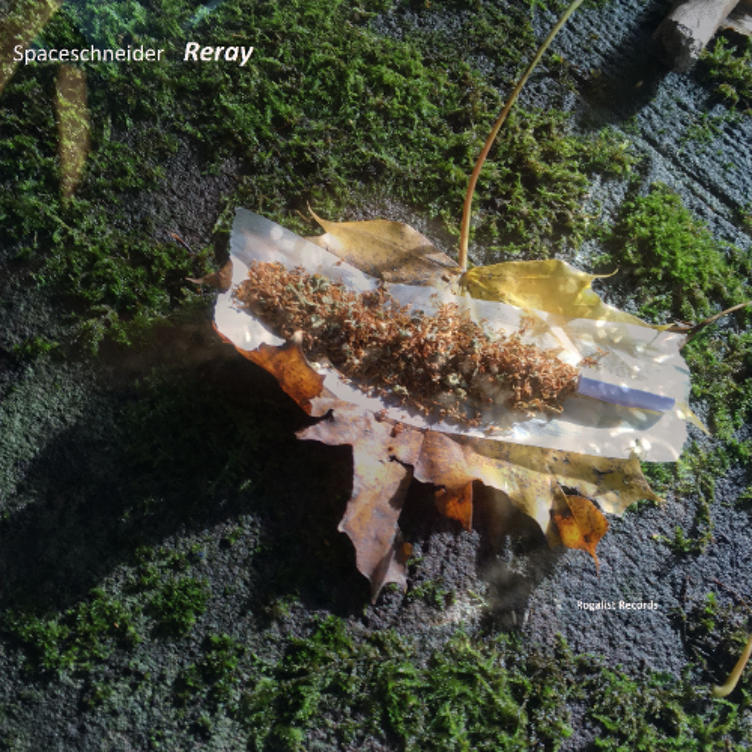 Reray (Des isch Remix) episode artwork