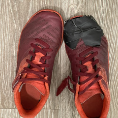 The Quicksilver Girl