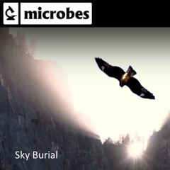 Sky Burial