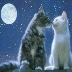 антидепрессант (greyrock)