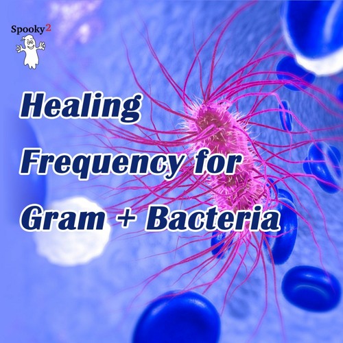Healing Frequency for Gram+ Bacteria - Spooky2 Rife Frequency Healing
