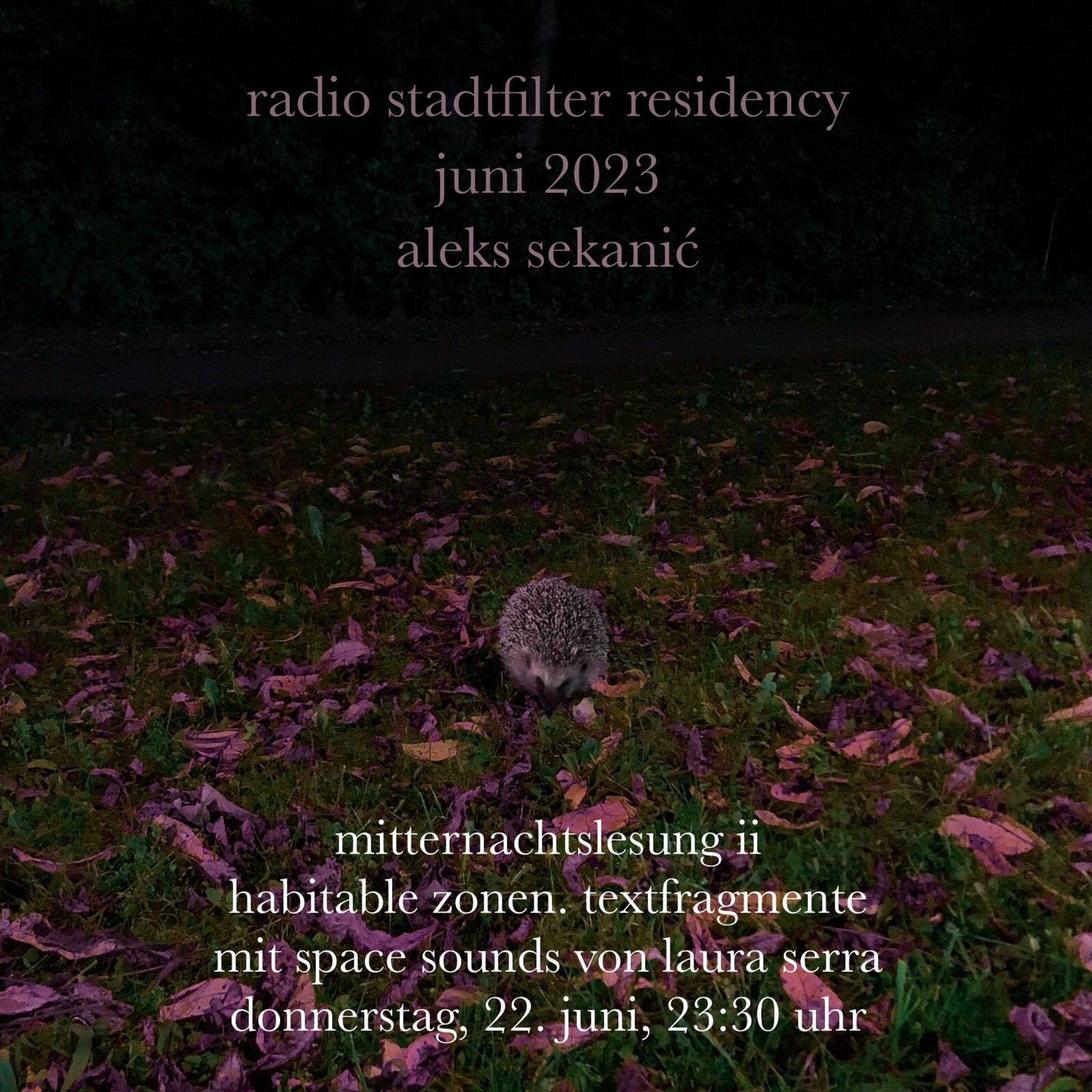 Mitternachtslesung ii episode artwork