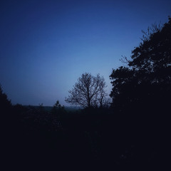 Mark Slee - Slinky XIII: Twilight [May 2025]