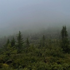 Melodic State Of Nothing #21 I Nature Stories