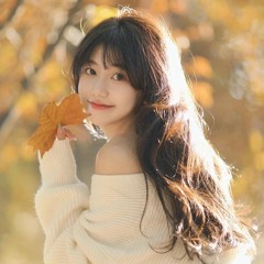 Hồi Kết - XicarloB Remix