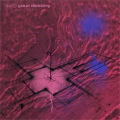 Your Destiny [New Beat]