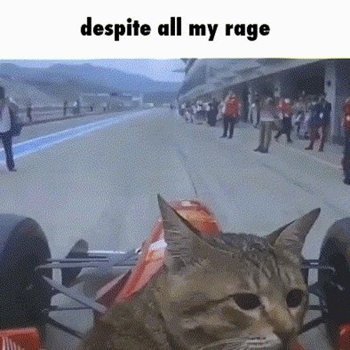 Tabby Fart