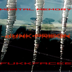 mortal memory60 x fukkfacee - junk prison