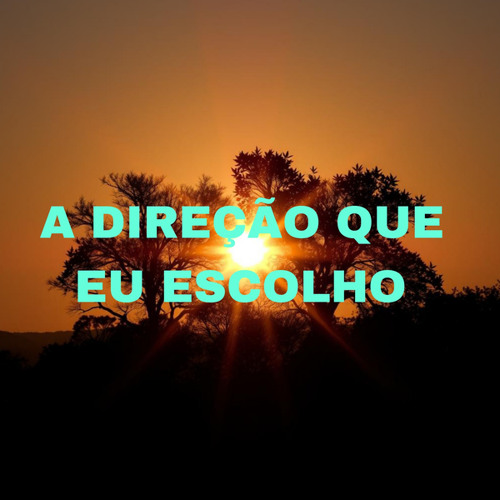 A Direção Que Eu Escolho