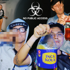 perico en el pico / tuesday chilean remix (prod. nullsoflyy)