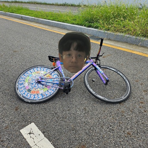 도율이형 챌린지 V.E.R.1