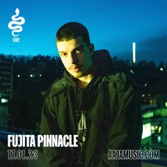 Fujita Pinnacle - Aaja Channel 2 - 17 01 23