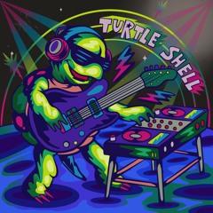 TURTLE SHELL