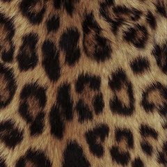 #Leopardprint