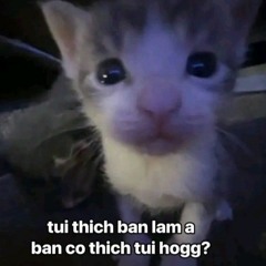Chill và cháy như phiphai=)(nhạc thập cẩm)