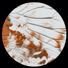 Root Regenerator - Root Regenerator 002 EP (Tremsix 023)
