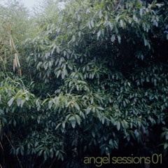 Angel Sessions .01 (Rough draft, Beginning of Enlightenment)