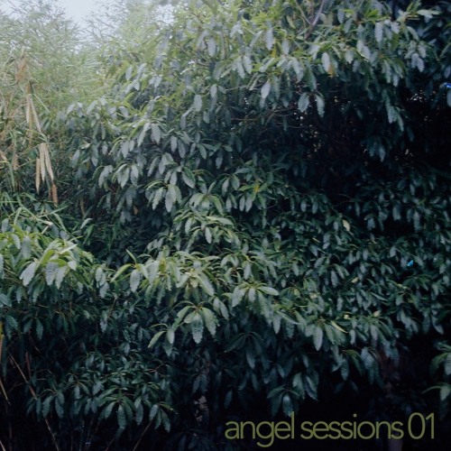 Angel Sessions .01 (Rough draft, Beginning of Enlightenment)