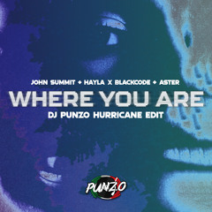 John Summit & Hayla x Blackcode & ASTER - Where You Are (DJ Punzo Hurricane Edit)