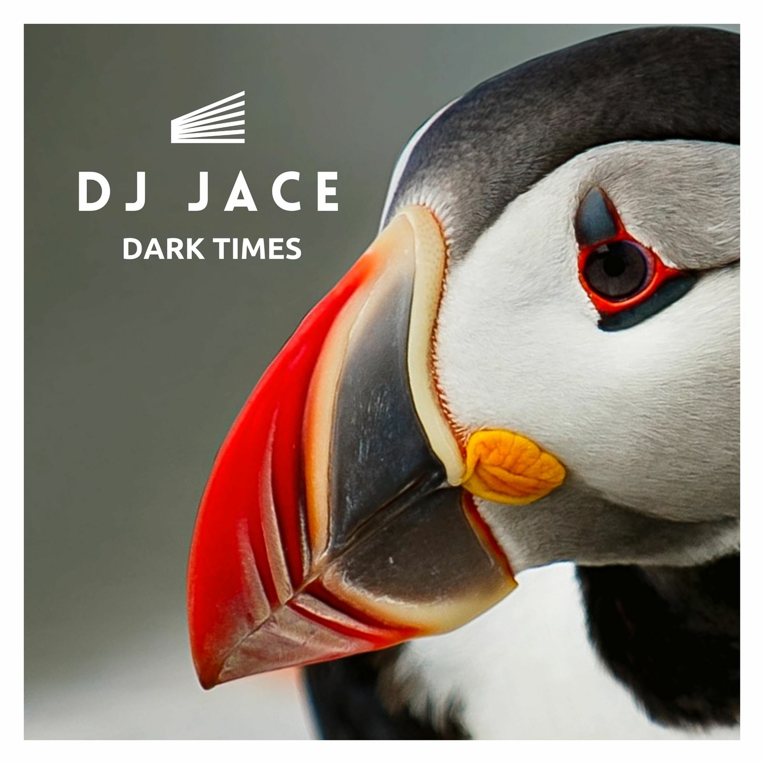 DJ Jace