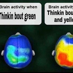 What A Perfect Day For Crying - Iamnotshane (slowed + reverb)