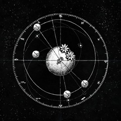 Gabi Titor - GRAVEDAD