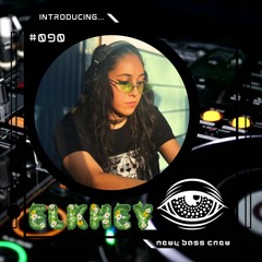 Introducing... Guest Mix #090 Elkhey