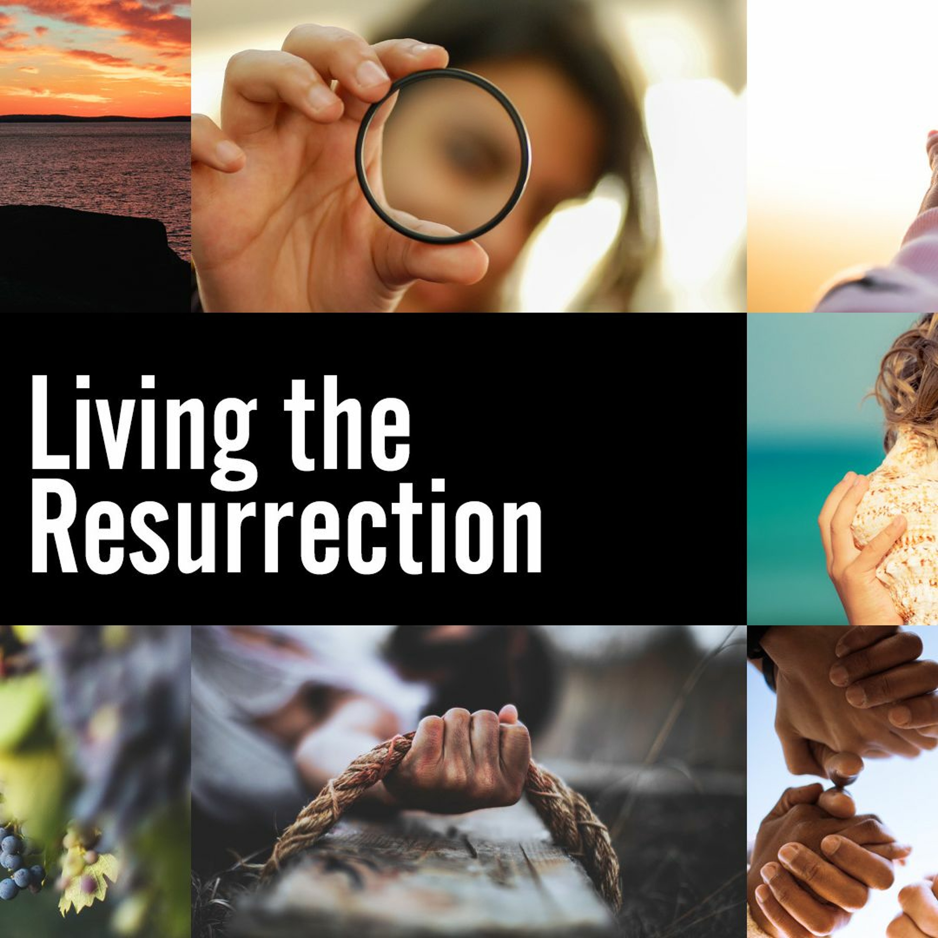 Chapelwood Sermons