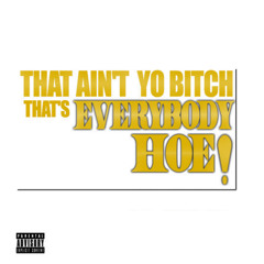 That Ain't Yo Bitch That's Everybody Hoe!