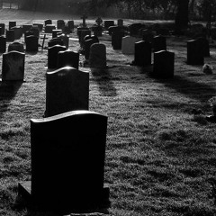 مال القبور سلمان المنكوب