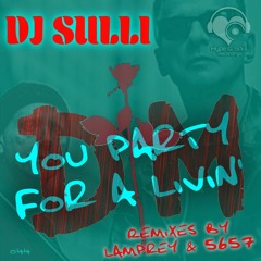 DJ Sulli - You Party For a Livin'  (Hype & Soul Recordings)