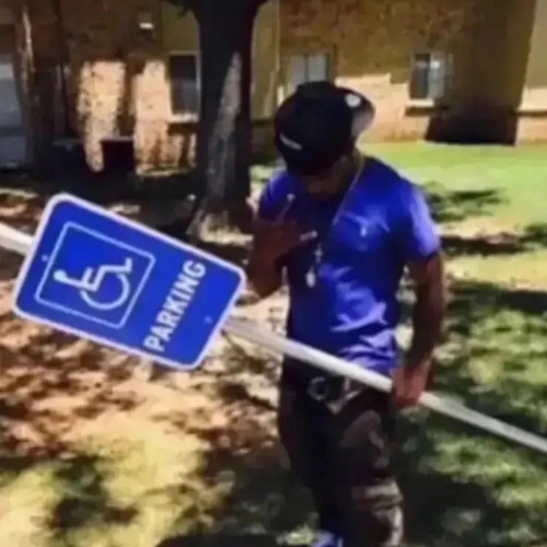 fried (p. anges, rexv2)