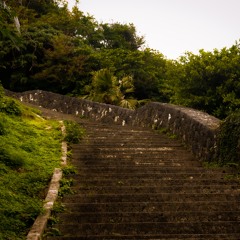 六本木の学生