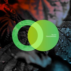 Seleck "TRASCENDENCE" (Area Verde)