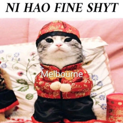 ni hao fine shyt